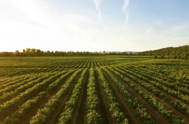 There are many variations of passages of Lorem Ipsum available, but majority have suffered teration in some form, by injected humour, or randomised words which don't look even slight believable. If you are going to use a passage of Lorem Ipsum.